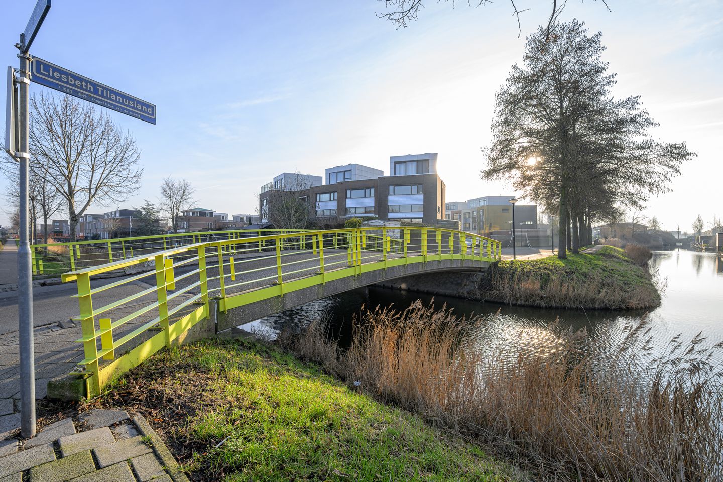 Photo 40 of Liesbeth Tilanusland 4