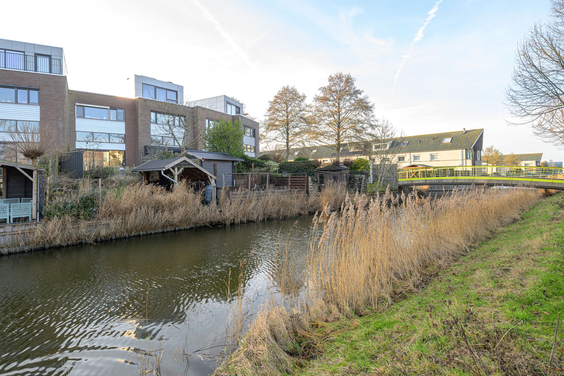 Photo 39 of Liesbeth Tilanusland 4