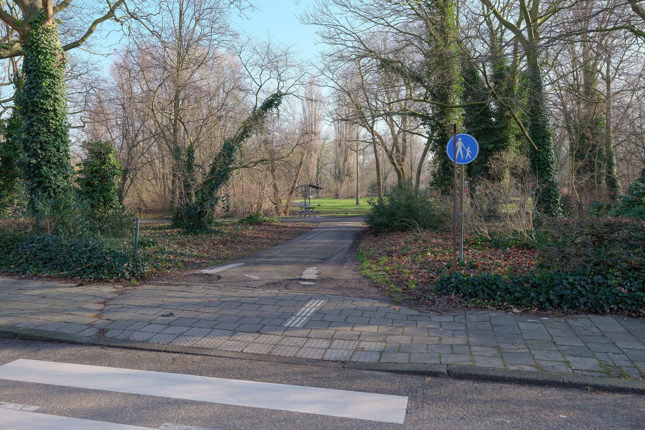 Foto 18 van Azaleastraat 2