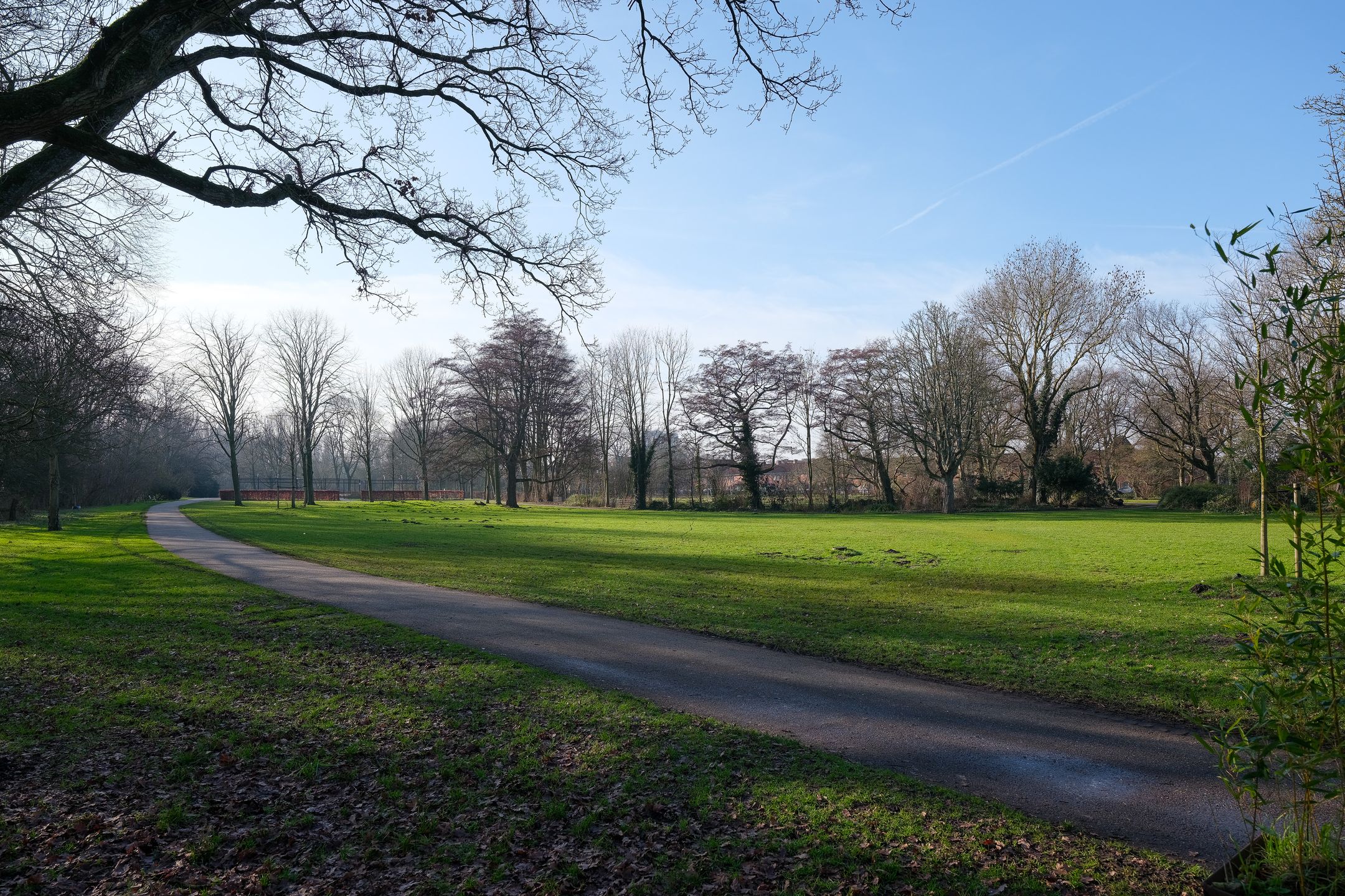 Foto 21 van Azaleastraat 2