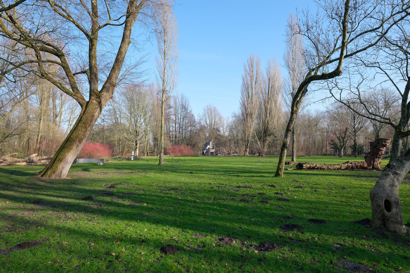 Foto 20 van Azaleastraat 2