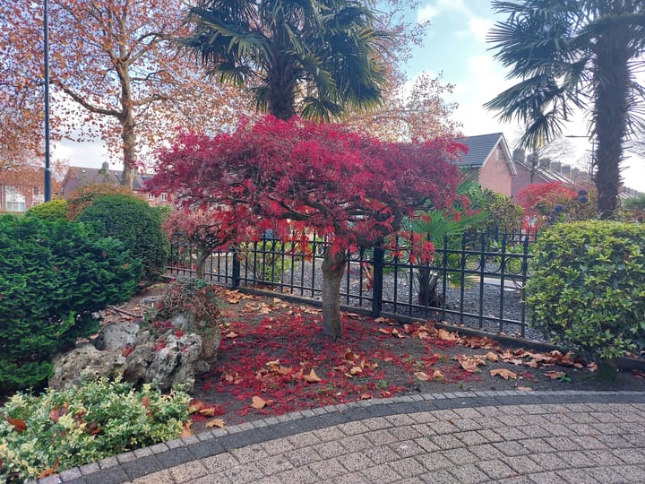 Foto 39 van Palmstraat 89