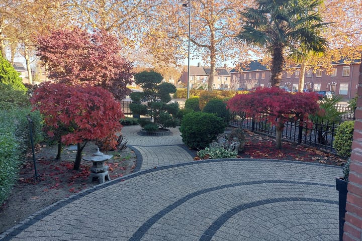 Foto 37 van Palmstraat 89