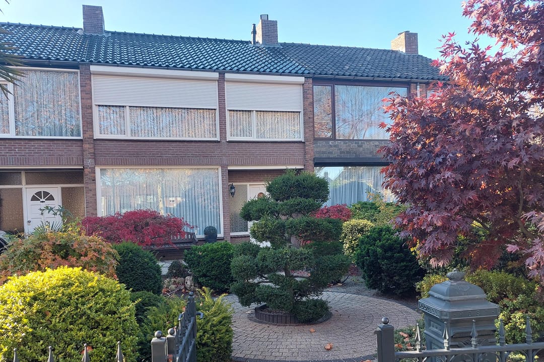 Foto 1 van Palmstraat 89