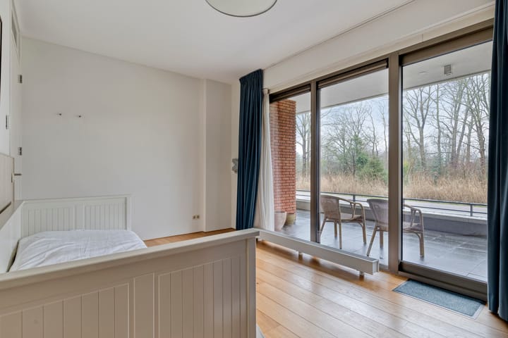 Foto 20 van Jan Wilshof 85