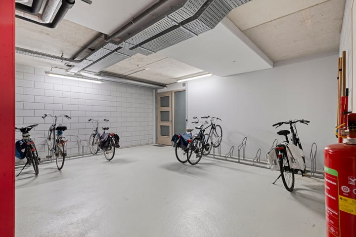 Foto 29 van Jan Wilshof 85