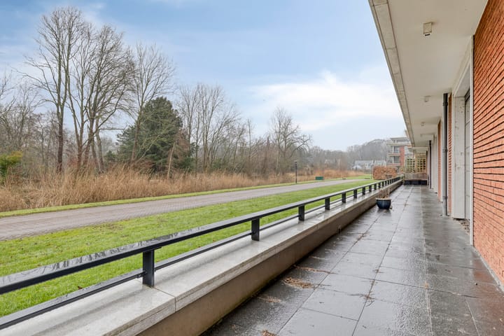 Foto 16 van Jan Wilshof 85