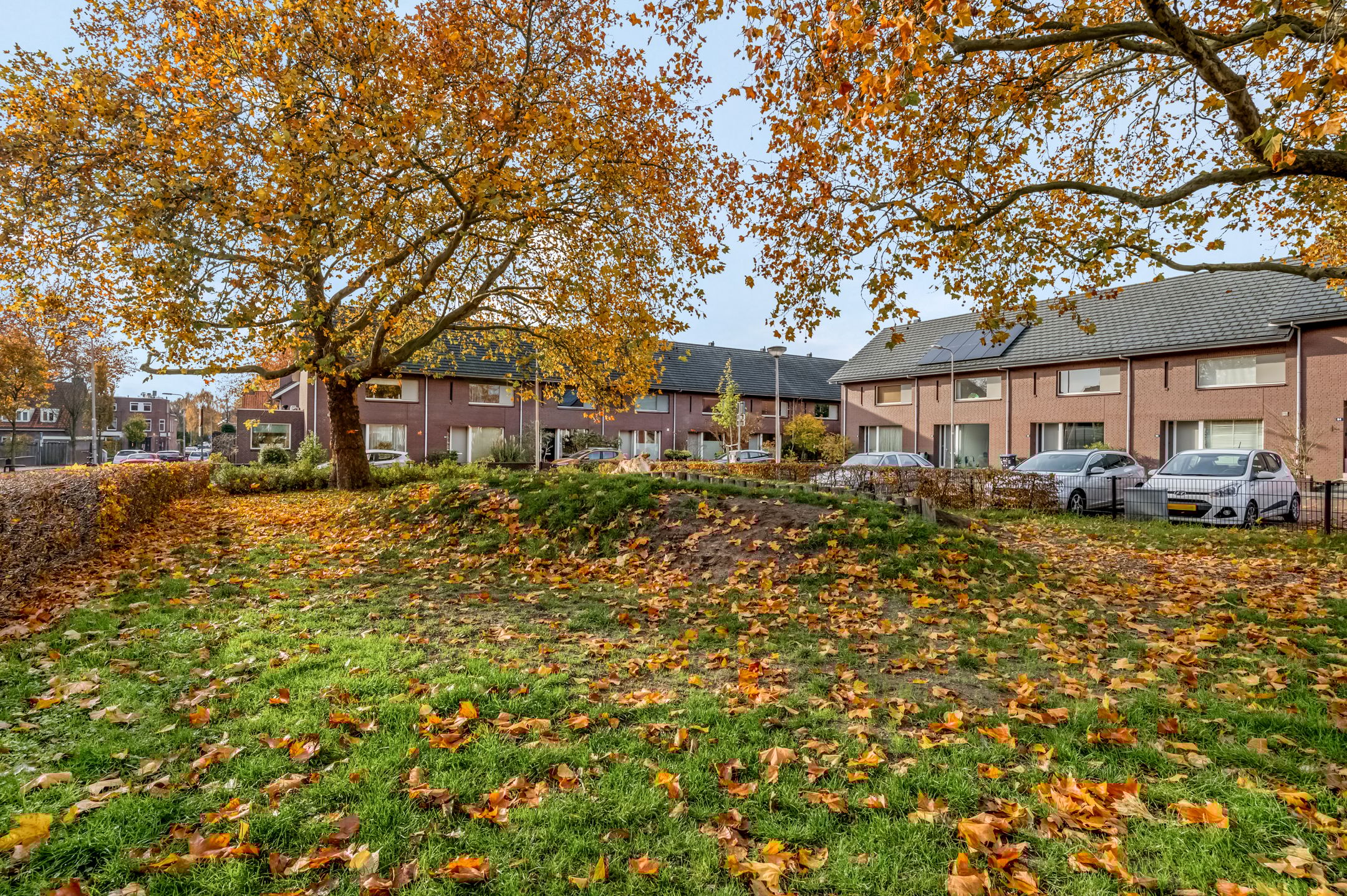 Foto 45 van Brederostraat 73