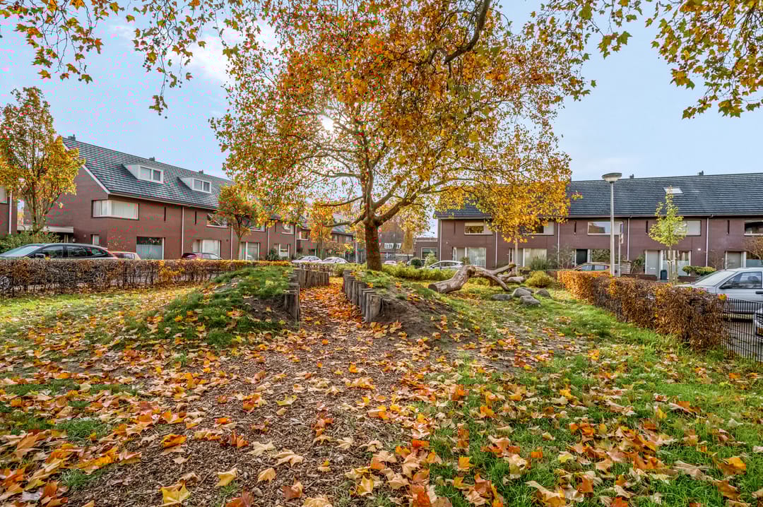 Foto 46 van Brederostraat 73