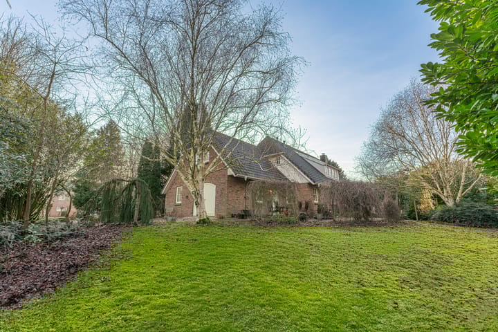 Oranje Nassaulaan 5 main image