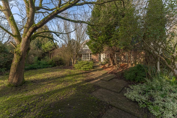 Photo 21 of Oranje Nassaulaan 5