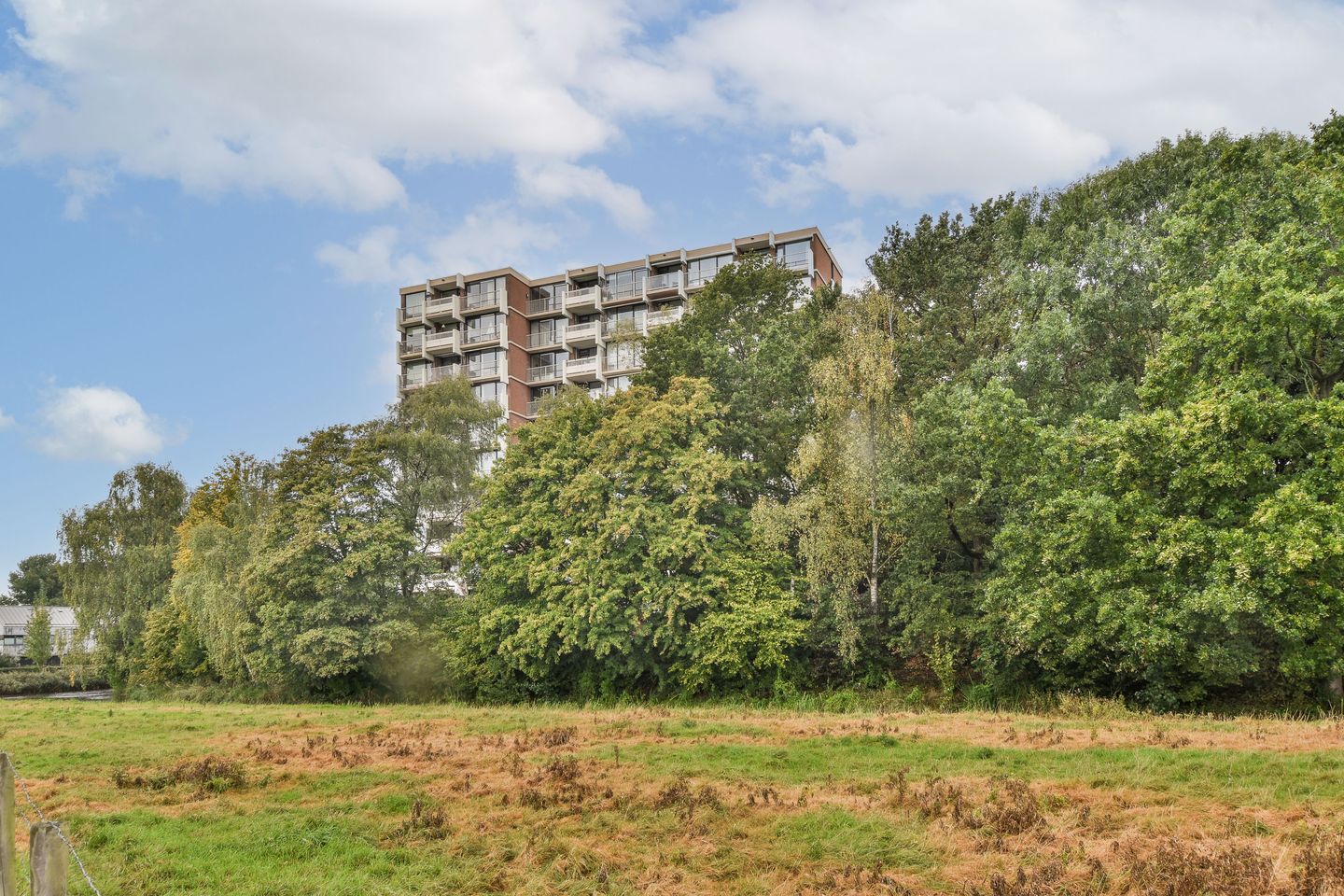 Photo 5 of Kringloop 337