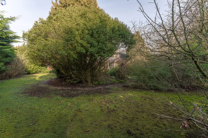 Photo 53 of Oranje Nassaulaan 5