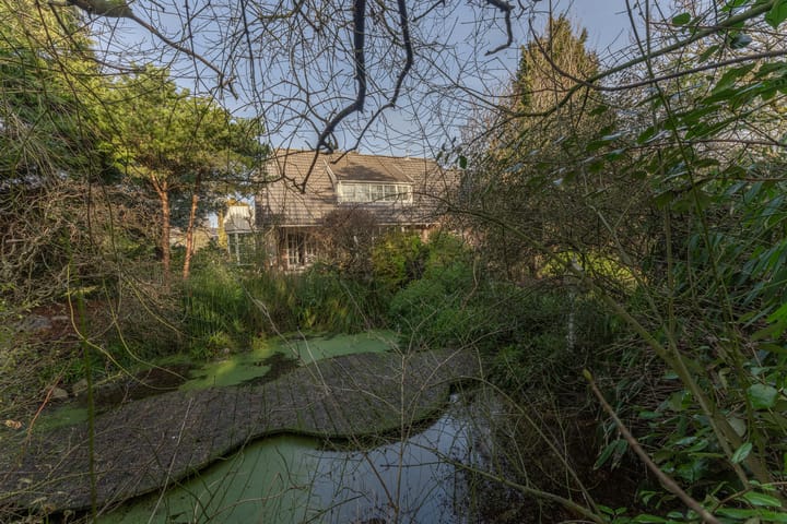 Photo 54 of Oranje Nassaulaan 5