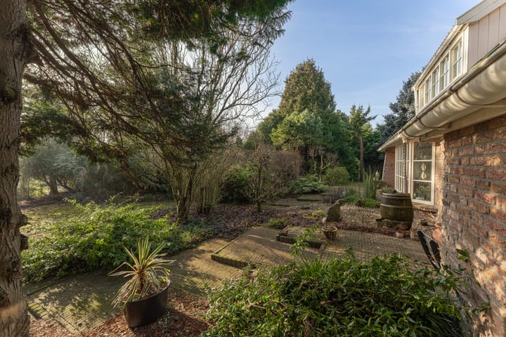 Photo 60 of Oranje Nassaulaan 5