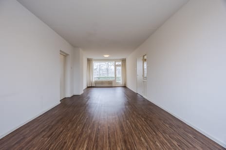 Pisanostraat 104