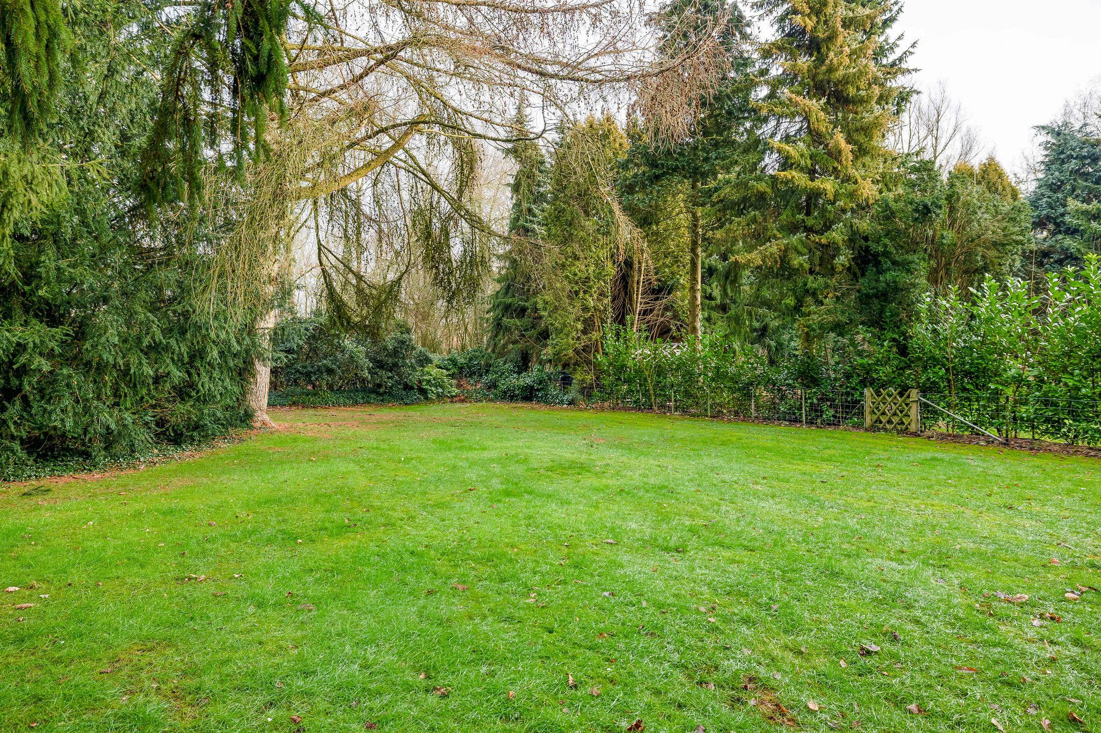 Foto 51 van Zeelandstreekje 13