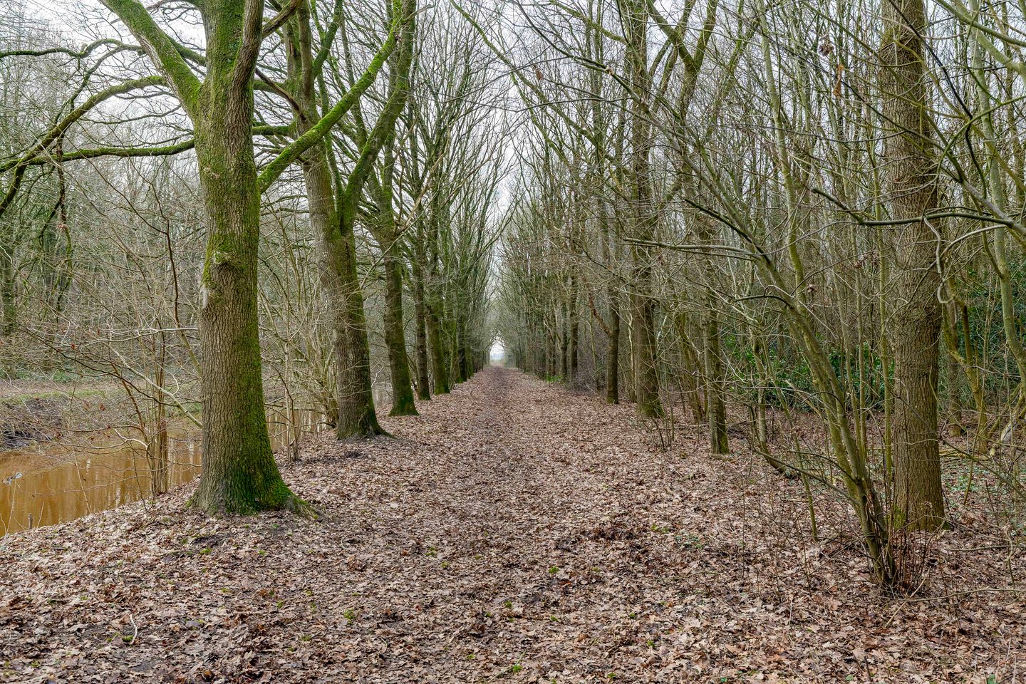 Foto 55 van Zeelandstreekje 13