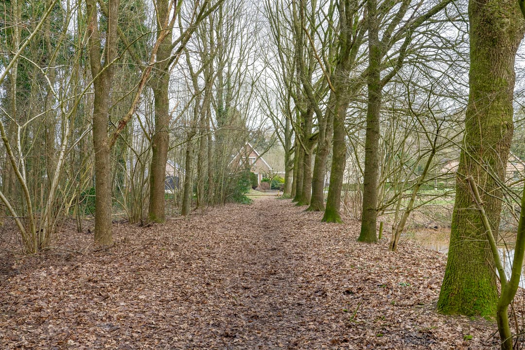 Foto 56 van Zeelandstreekje 13