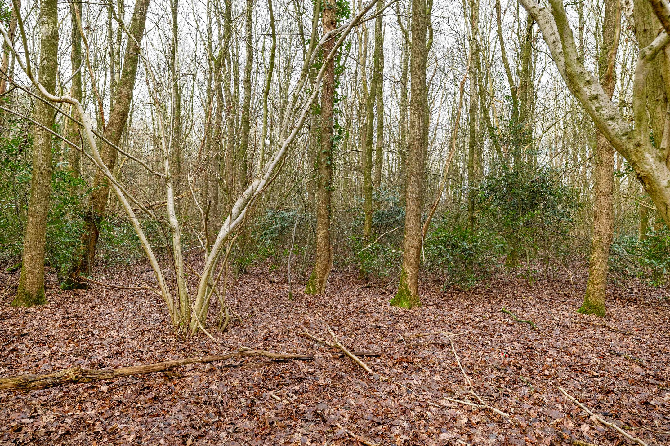 Foto 57 van Zeelandstreekje 13