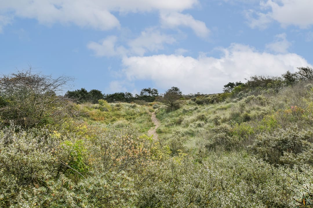 Foto 22 van Leeuwerikenstraat 12-F3