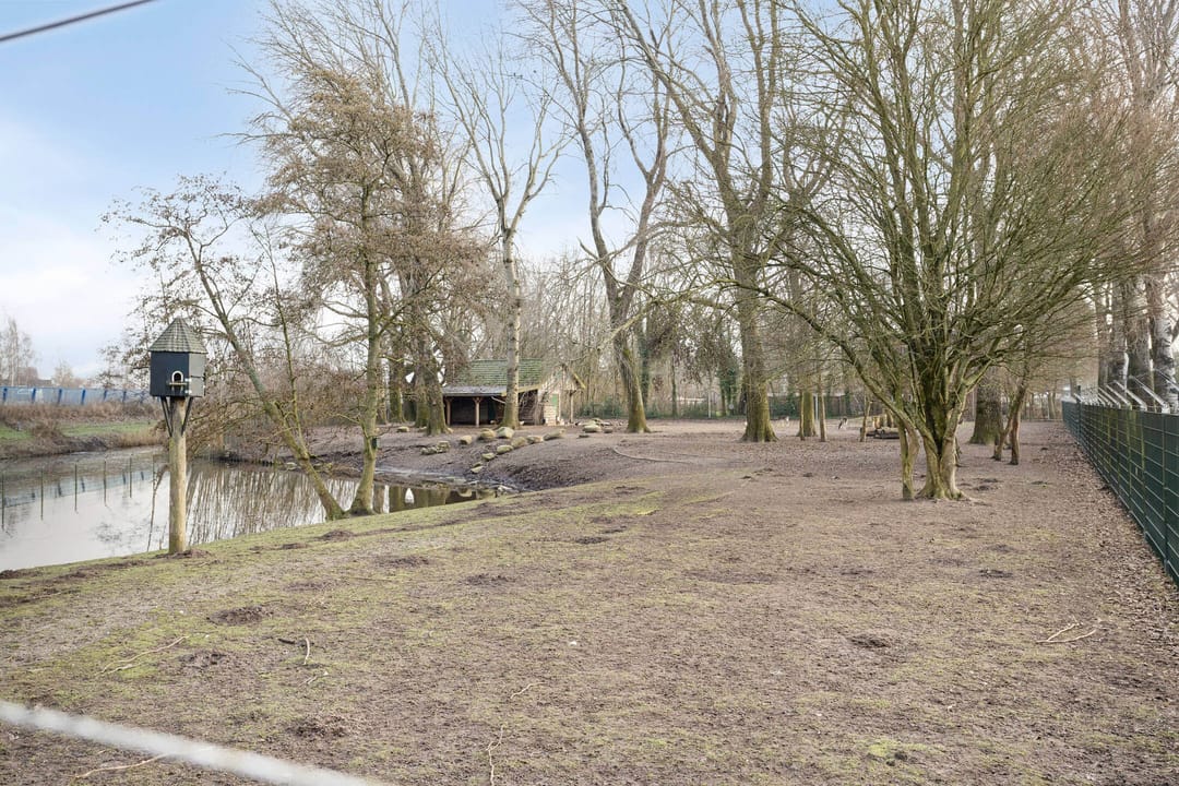 Photo 56 of Hooglandswyk 135