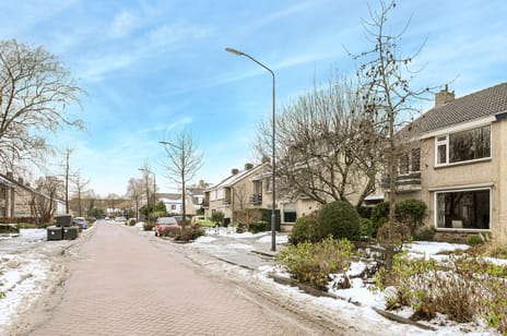 Ockenburg 12 tertiary image