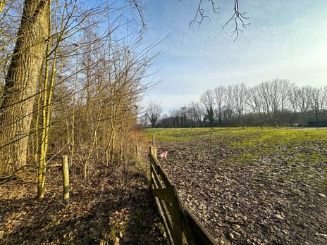 Steenbakkerwei 18 tertiary image