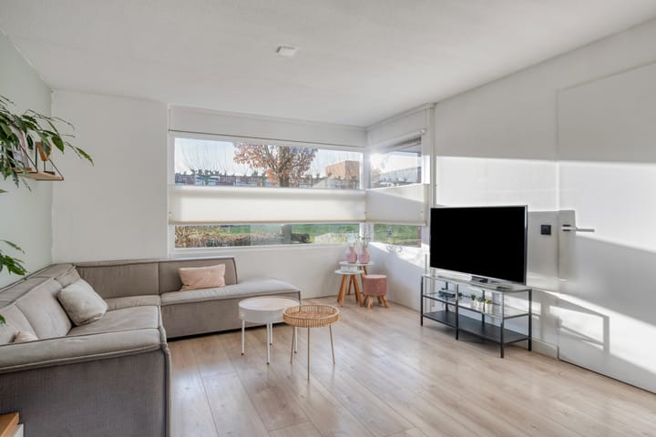 Foto 2 van Vogellijm 4