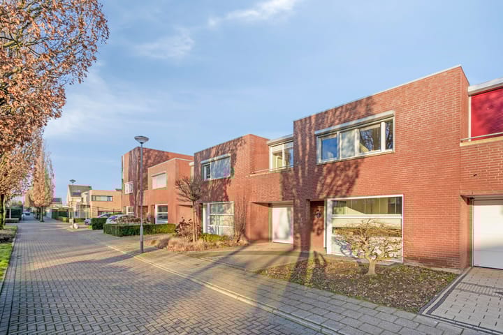 Foto 5 van Vogellijm 4