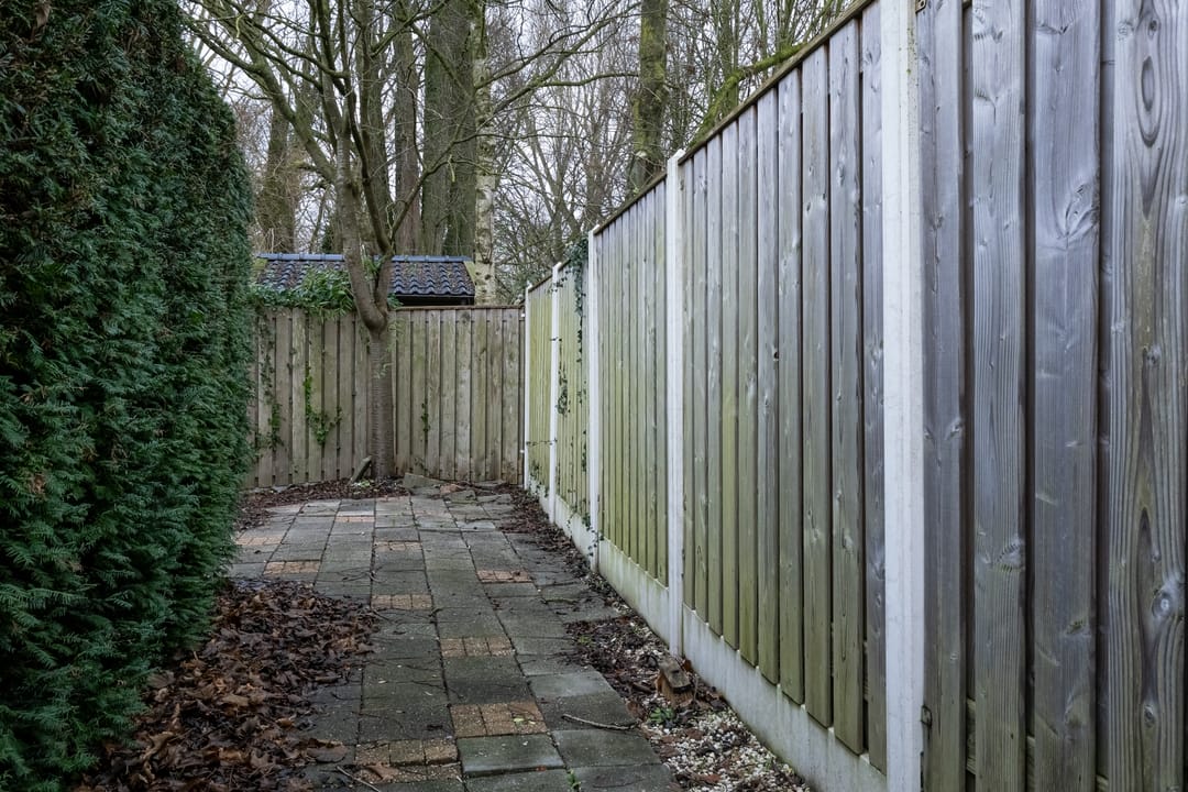 Photo 22 of Schepenen 55