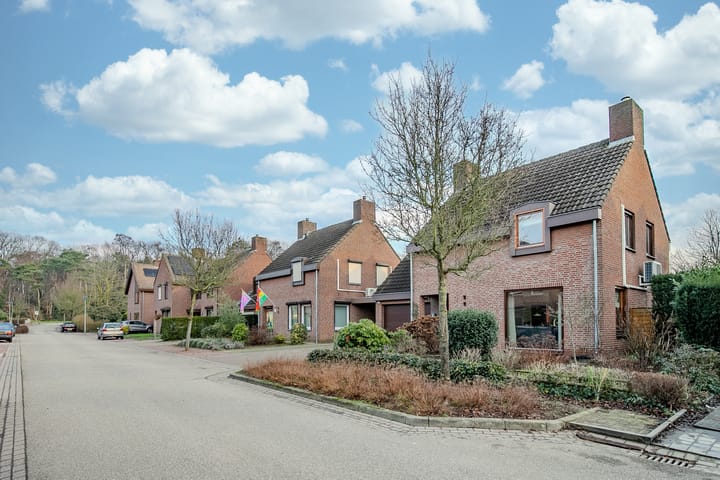 Foto 26 van Wolfsberg 9