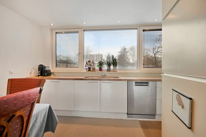 Foto 20 van Sint Gotthard 13