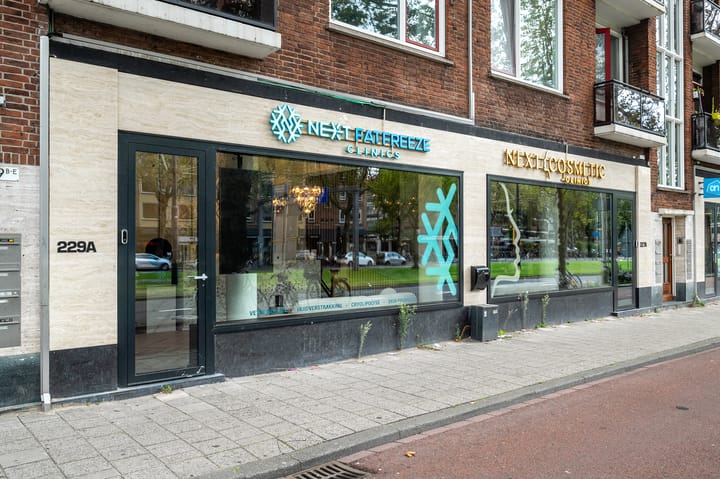 Goudsesingel 227-229, Rotterdam