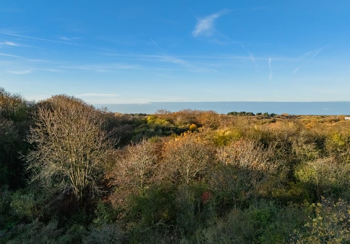 Foto 37 van Peperkers 29