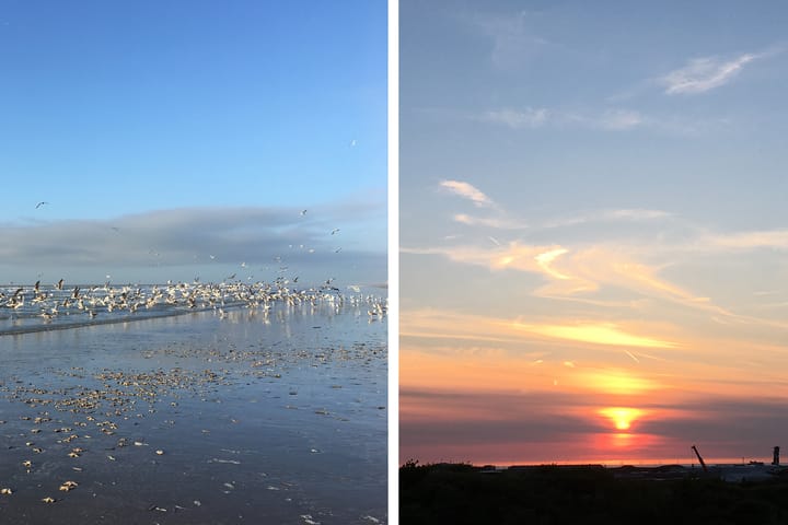 Foto 39 van Peperkers 29