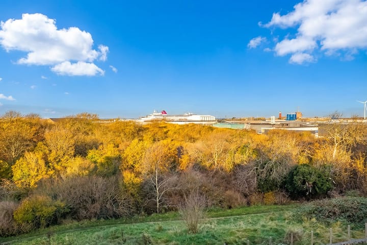 Photo 2 of Peperkers 29