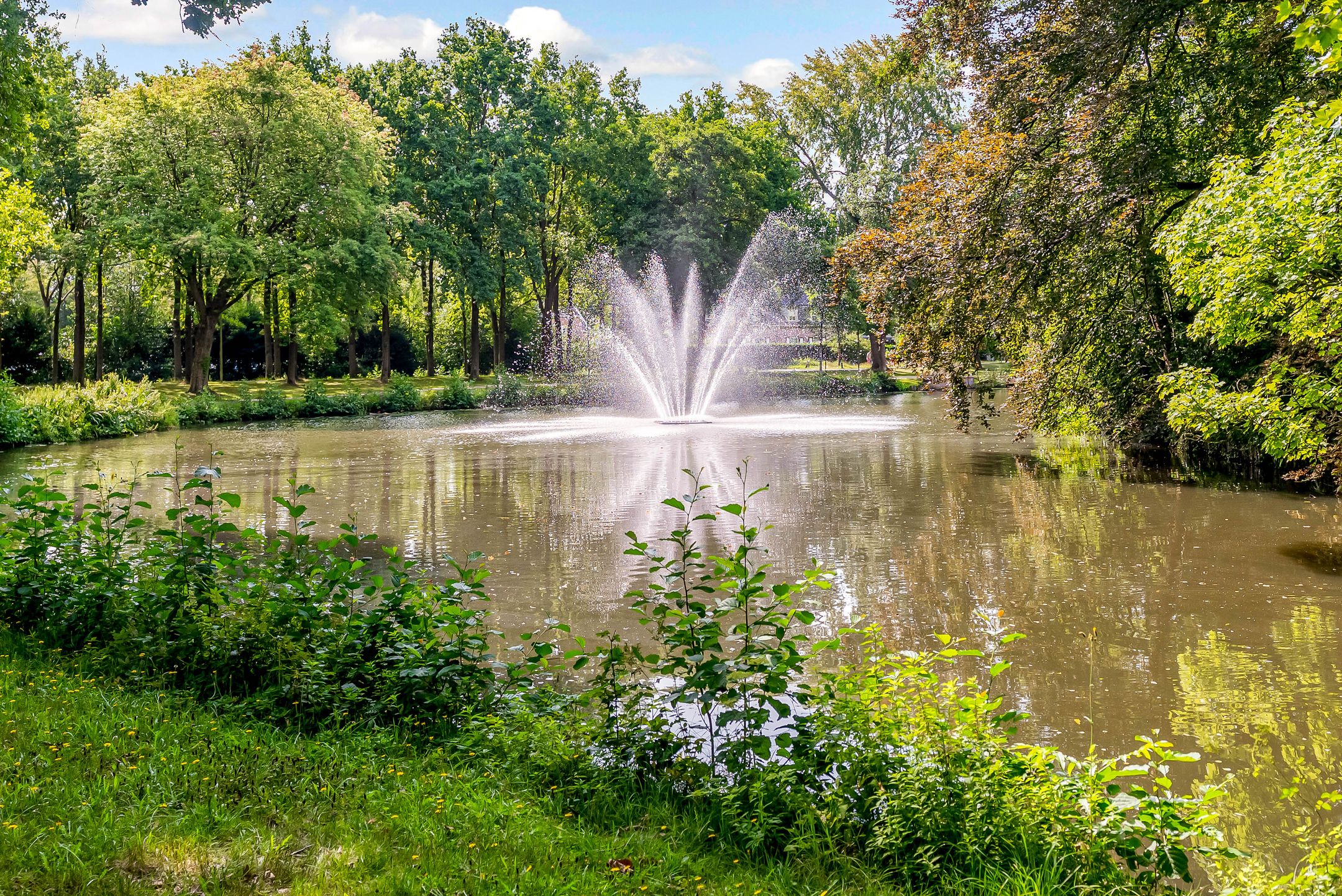 Foto 66 van Prins Mauritslaan 5