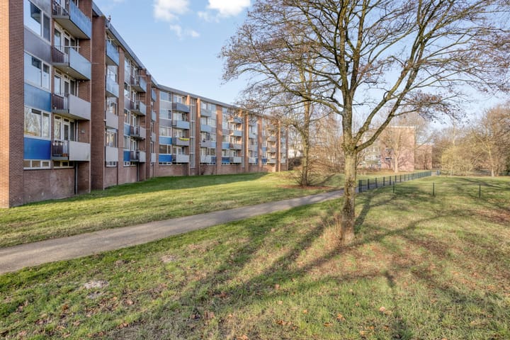 Foto 22 van Godfried Schalkenstraat 64