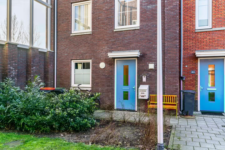 Photo 29 of Anne Frankhove 36