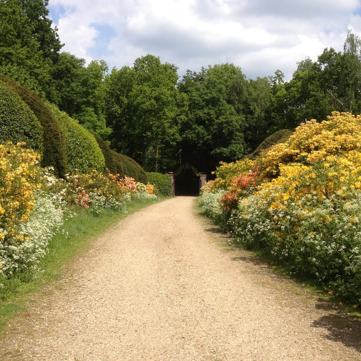 Photo 67 of Middenlaan 52