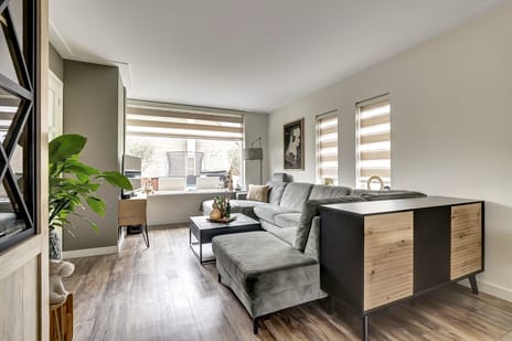 Regulus 25 secondary image