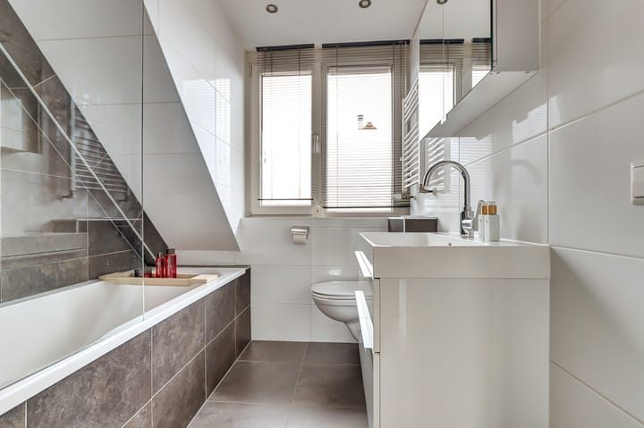 Photo 4 of Regulus 25