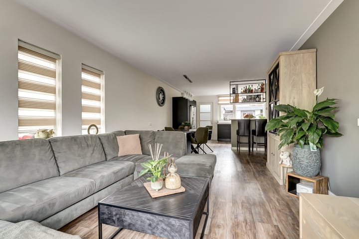 Foto 14 van Regulus 25