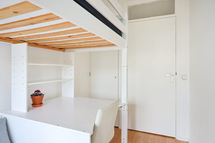 Foto 21 van Tigrisdreef 294