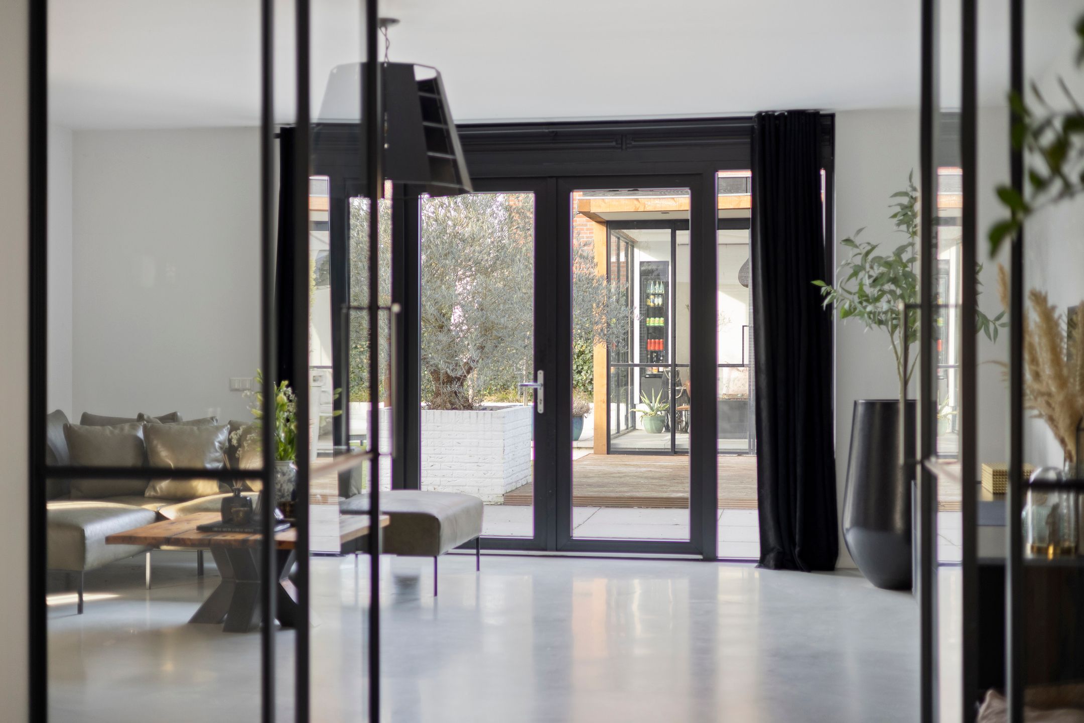 Photo 9 of Zebrakever 30