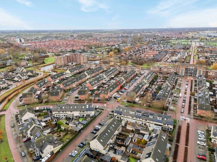 Foto 5 van Populierenhout 14