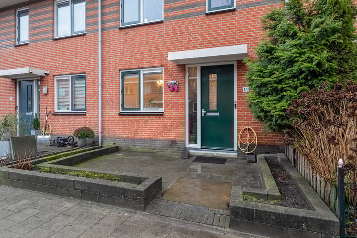 Foto 6 van Populierenhout 14