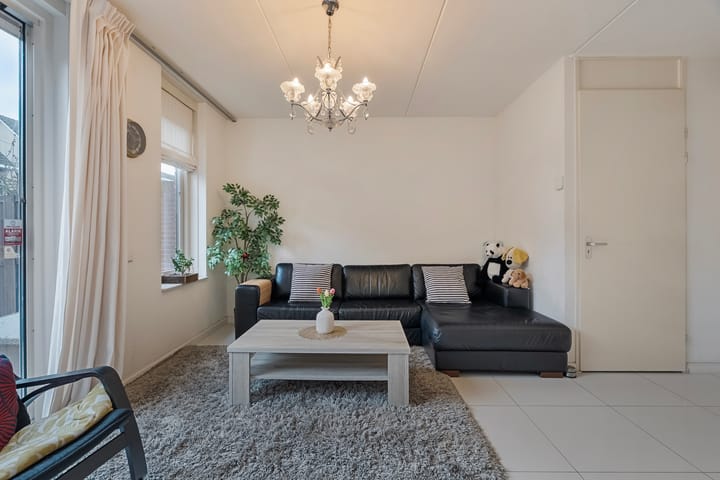 Foto 9 van Populierenhout 14