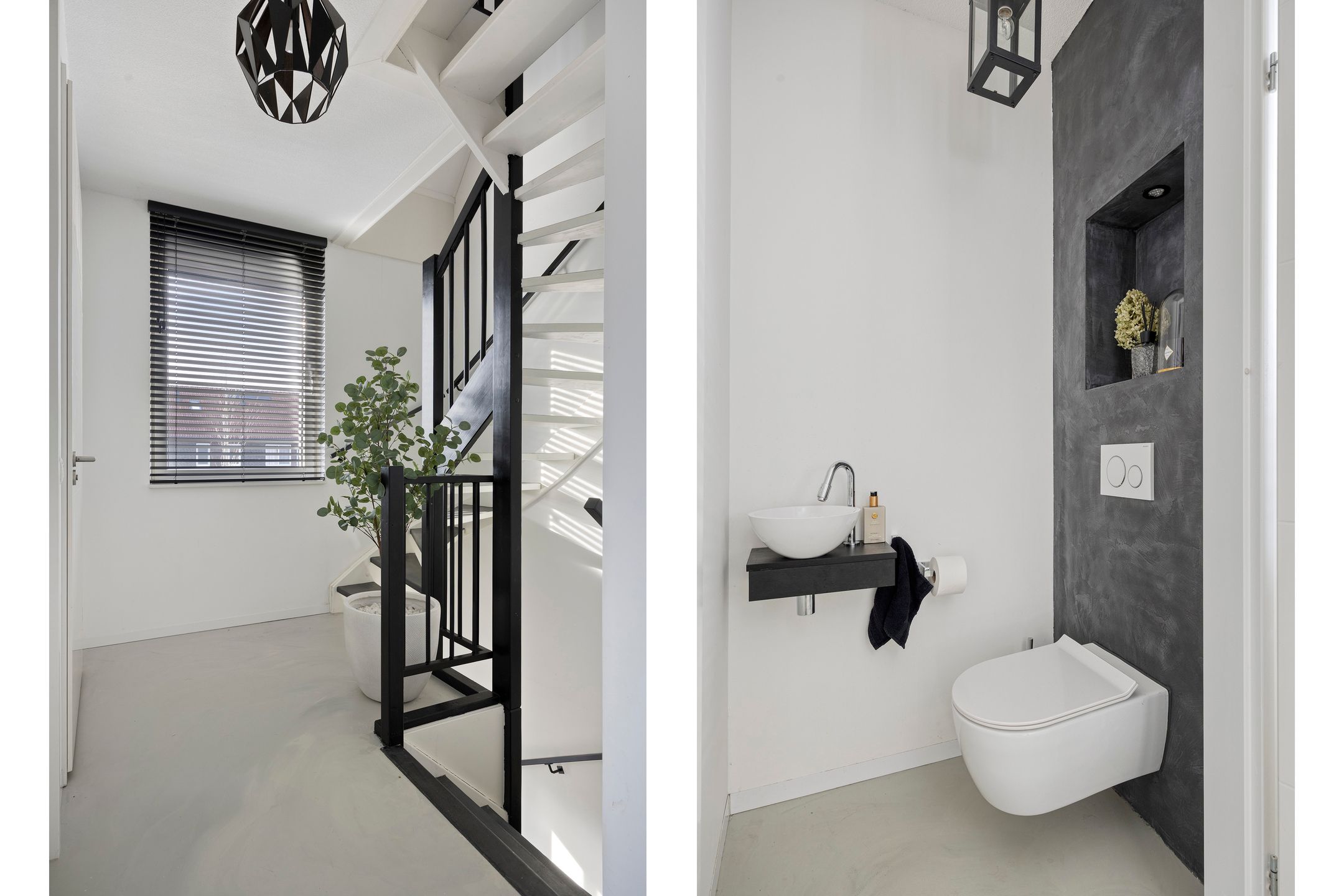 Photo 21 of Zebrakever 30